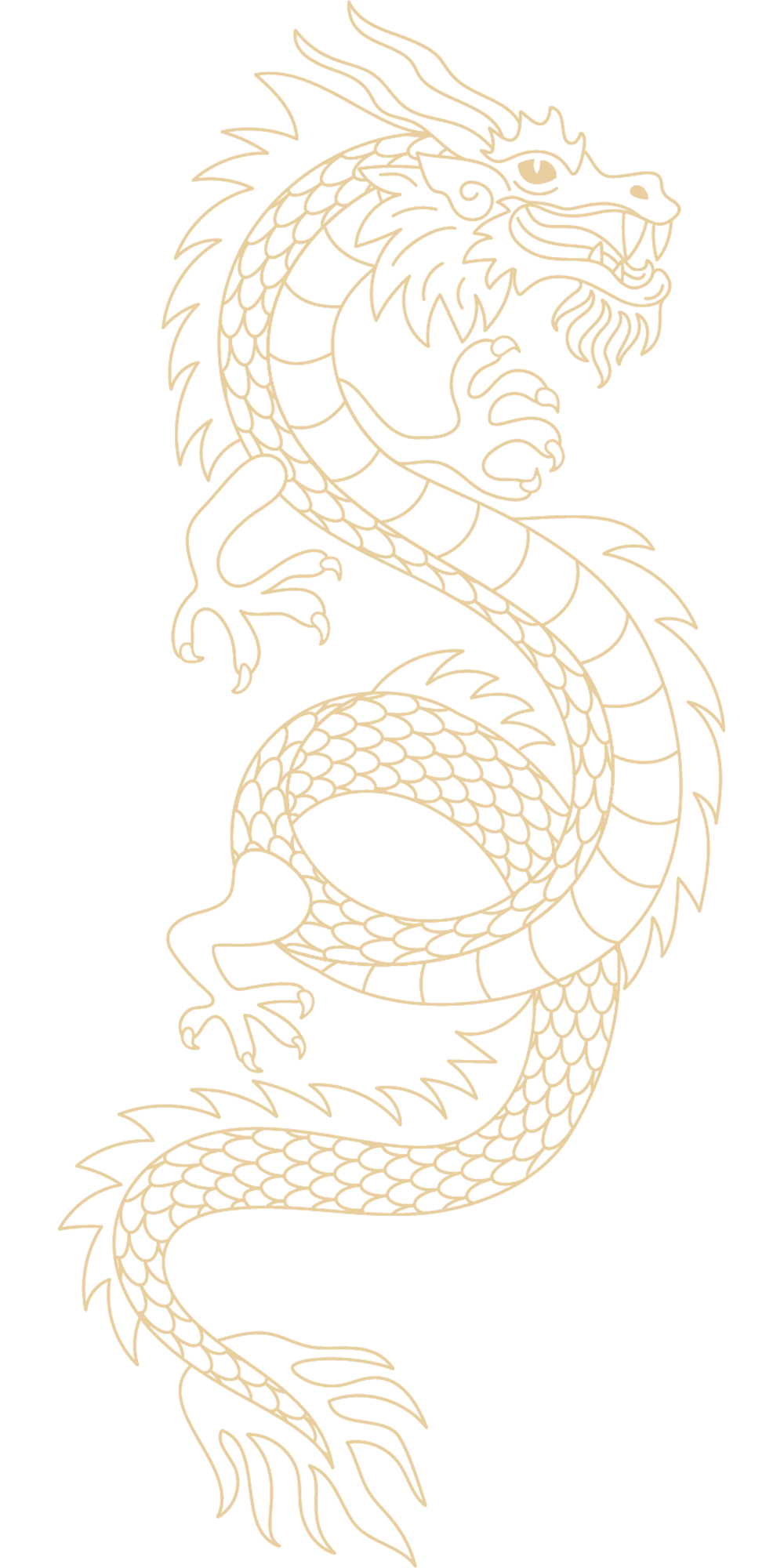 Rồng