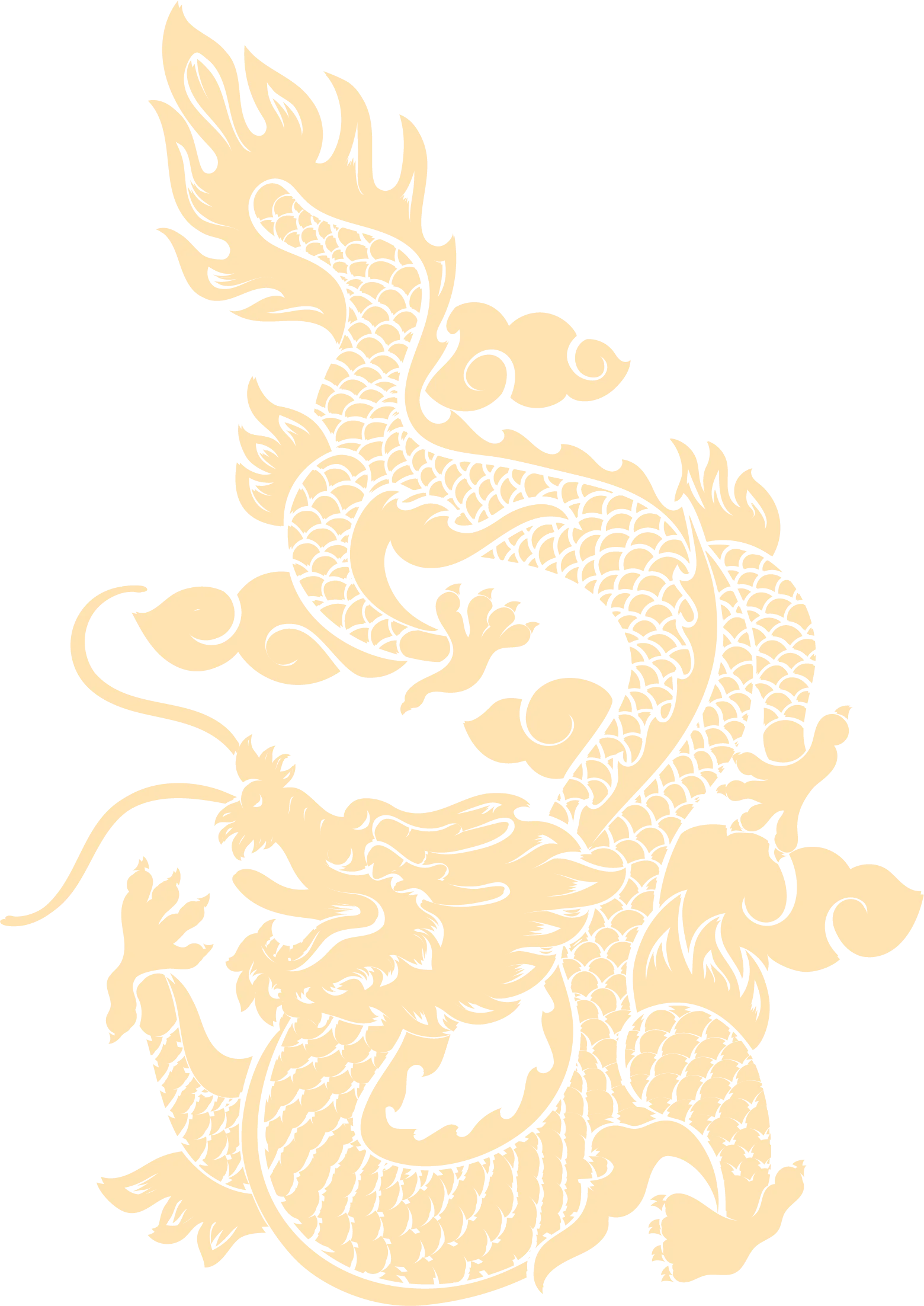 Rồng