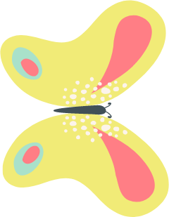 Butterfly 6